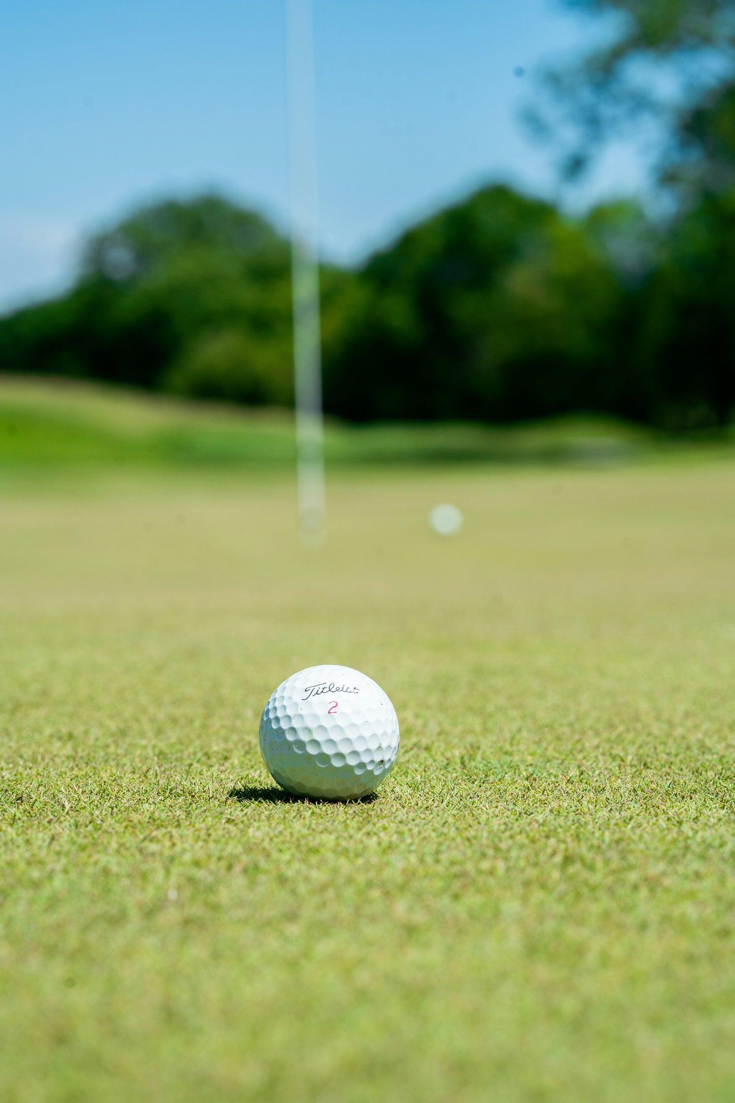 Golfers’ Escape Room